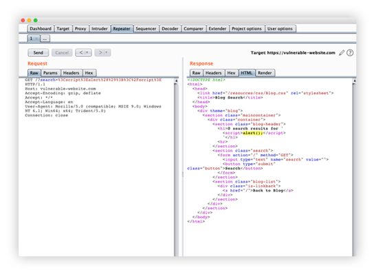 burp suite professional training